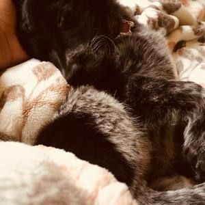 Meet your Posher, Jacob